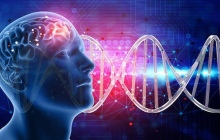 多模态AI如何处理量子计算 多模态AI量子算法可视化