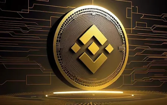 What is platform currency? What is the difference between it and ordinary currencies?