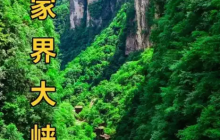 2100元接待费：张家界“史上最抠”公务接待引热议