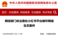 网信部门依法查处小红书平台破坏网络生态案件