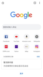 谷歌浏览器打开网页总是闪退怎么办