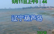 日本两年前首次核废水排放至今，一位博主的孤独坚守持续检测，只为一声警醒