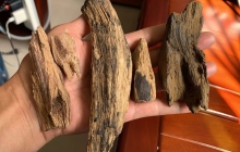 央视重磅曝光!大量消费者爱买的东西竟被立案调查,真相吓人!
