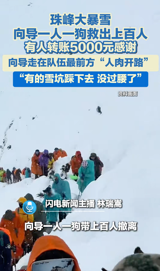 珠峰突降大暴雪,向导一人一狗成功救出上百名被困游客