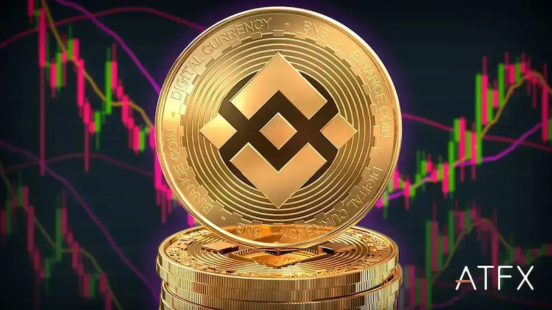 BNB币全面解析：优势、风险及未来发展趋势