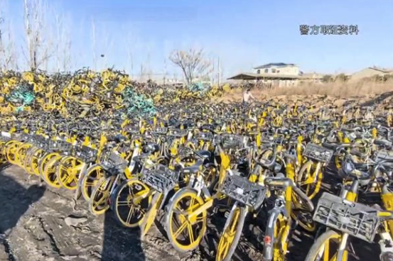 男子偷上万辆共享单车每辆卖105元，盗车速度过快导致收赃人员反欠其20多万