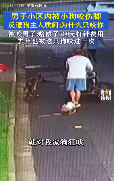 男子小区内被狗咬伤，反遭主人奇葩质问：“为什么只咬你？”