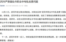 湖北武冈市职业中专违规收费,校长、副校长等4人被立案审查