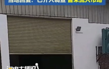 广东一食品公司被曝露天堆放大量死猪,详情介绍