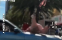 为骗保伙同他人撞死亲生母亲，两名主犯一审被判死刑