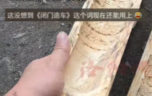 广西老师傅6小时破解“整体木瓶”，婉拒百万悬赏：只为不服“没人能做到”