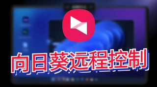 向日葵官方网页入口_向日葵远程控制电脑版访问