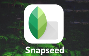 snapseed手机修图软件免费版怎么下载？正版官方安装包获取指南 - php中文网