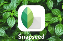 Snapseed手机修图软件免费版使用教程与基础操作说明