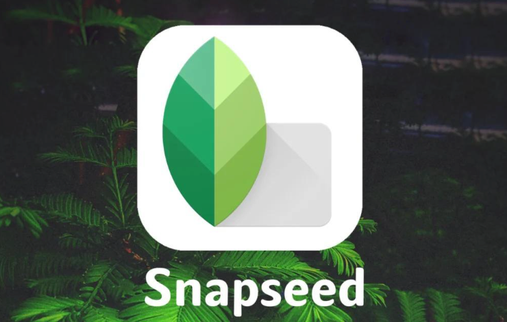snapseed手机修图软件免费版下载官方安装指南 - php中文网