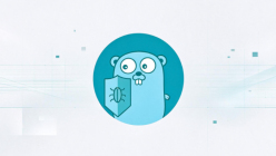 Golangci-lint新增问题检查：New参数使用说明