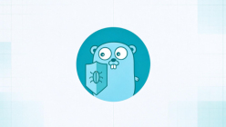 Golangci-lint目录检查方法：指定Go包运行示例