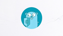Golangci-lint nilerr用法：Nil错误返回检查方法