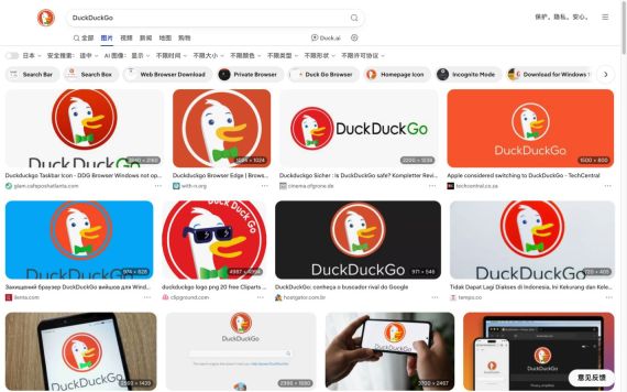 DuckDuckGo图片搜索结果完整截图