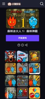 手机端公开游戏详情页面完整截图