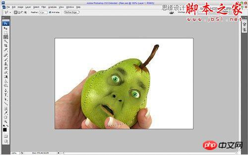 Photoshop合成合成制作逼真鸭梨人像效果