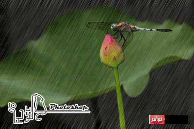 Photoshop制作唯美雨景动画
