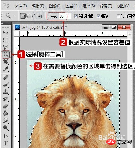 手把手教你用photoshop自制电子版一寸两寸标准照