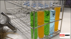 Just train once to generate new 3D scenes! The evolution history of Googles Light Field Neural Rendering” Just train once to generate new 3D scenes! The evolution history of Googles Light Field Neural Rendering”