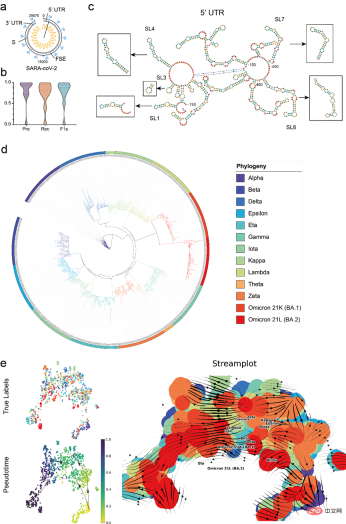 Open source! Hong Kong Chinese, MIT, and Fudan propose the first RNA cornerstone model Open source! Hong Kong Chinese, MIT, and Fudan propose the first RNA cornerstone model