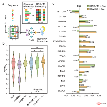 Open source! Hong Kong Chinese, MIT, and Fudan propose the first RNA cornerstone model Open source! Hong Kong Chinese, MIT, and Fudan propose the first RNA cornerstone model