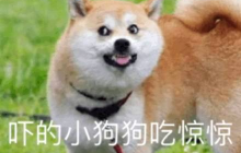 MIT最新成果：这款能「自我复制」的机器人，从飞机到火箭都能自己造！