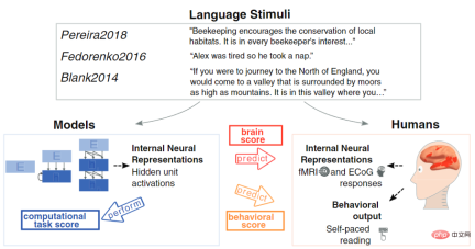 There is also a Transformer in the brain! The same mechanism as the hippocampus There is also a Transformer in the brain! The same mechanism as the hippocampus