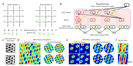 There is also a Transformer in the brain! The same mechanism as the hippocampus There is also a Transformer in the brain! The same mechanism as the hippocampus