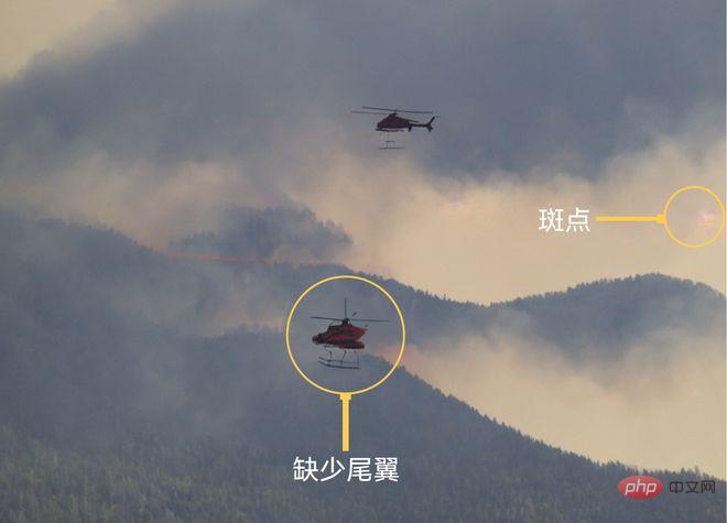 AI制造的假照片，你能认出来吗？