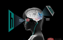 VR的终极形态是「假眼」？Neuralink前联合创始人掏出新产品：科学之眼！