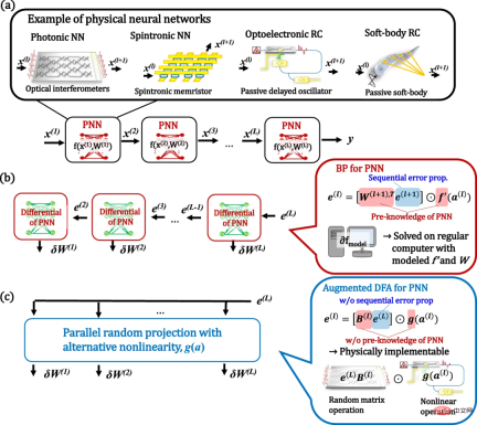 Physical Deep Learning with Biologically Inspired Training Methods: A Gradient-Free Approach to Physical Hardware Physical Deep Learning with Biologically Inspired Training Methods: A Gradient-Free Approach to Physical Hardware