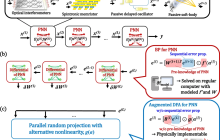 具有生物启发训练方法的物理深度学习：物理硬件的无梯度方法