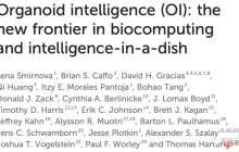 美国科学家计划用一盘人脑细胞造出计算机