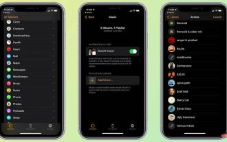 如何在 watchOS 8 中的 Apple Watch 上播放和分享 Apple Music