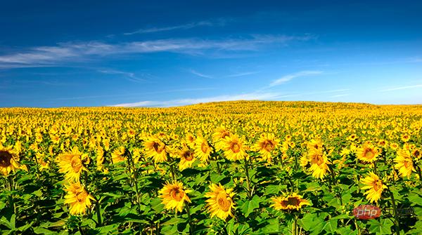 良心推荐！Python爬虫高手必备的8大技巧！