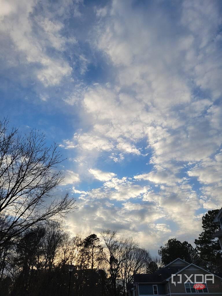 S21-main-camera-1-768x1024-1