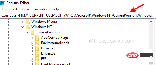 registry_path