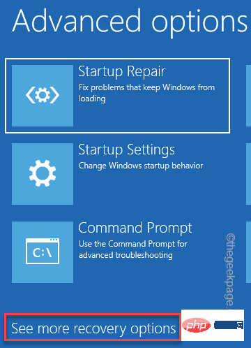 see-more-recovery-options-min