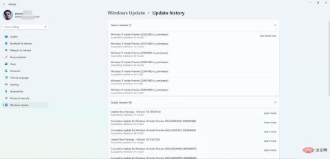 Windows 11 Build 22526 发布到 Insider Preview Dev Channel