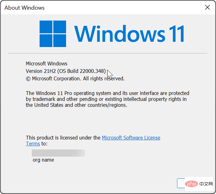 2-Version-and-Build-Windows-11-via-winver-command