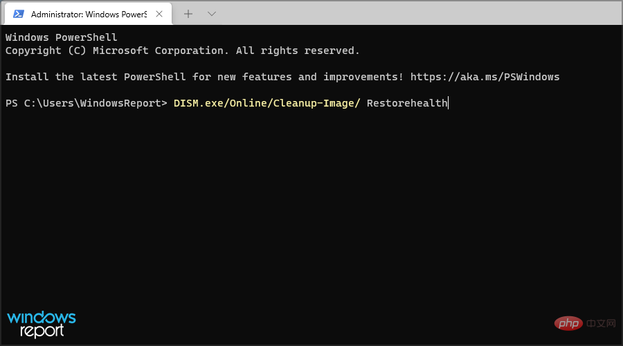 dism-w11