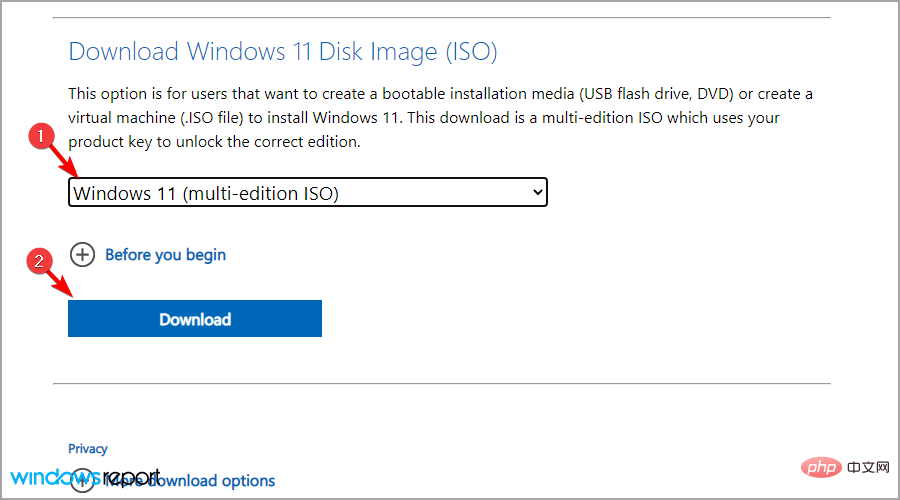 download-windows-11-disk-image