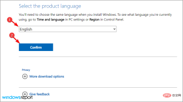 select-language-w11