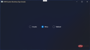 Windows-11-Mica-745x420-1