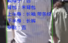 AI已经把你看得明明白白,YOLO+ByteTrack+多标签分类网络